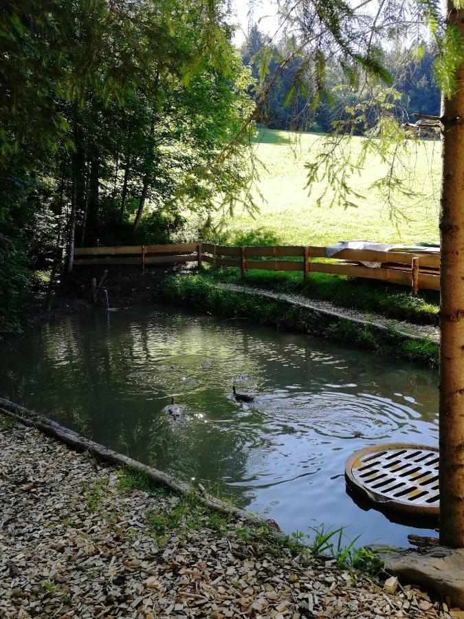 Ferienhaus Am Waldrand Von Egg Bregenzer Wald ภายนอก รูปภาพ