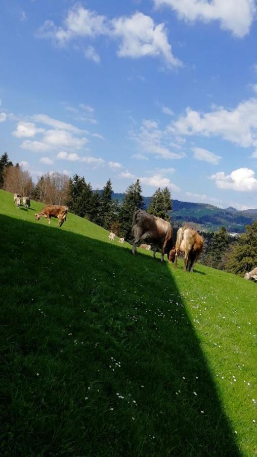 Ferienhaus Am Waldrand Von Egg Bregenzer Wald ภายนอก รูปภาพ